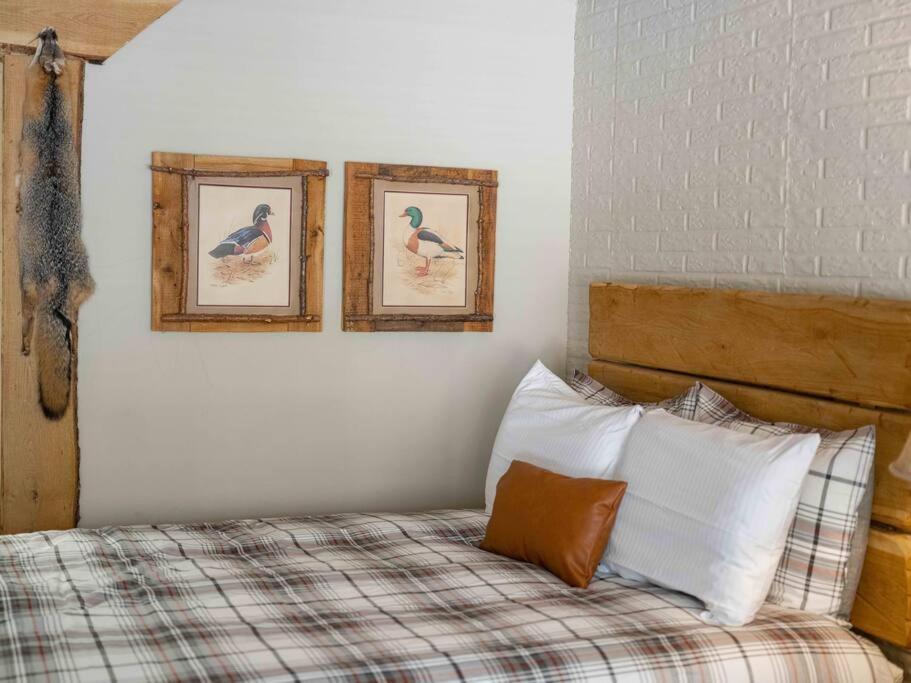 Stonegate Lodge 2 Queen Beds Fast Wifi 50In Tv Salt Water Pool Room # 305 Eureka Springs Kültér fotó